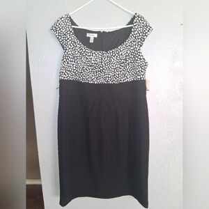 NWT Dressbarn  sleeveless Black And Polkadot shift dress size 16